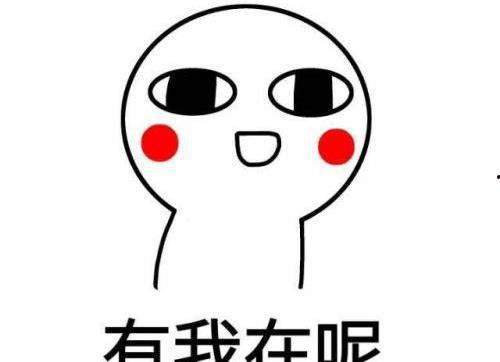 max表情包